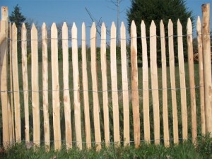 Clôture en bois, ganivelle, piquets de châtaigner