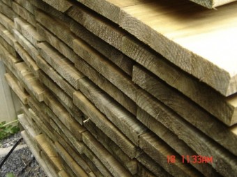 plp-20