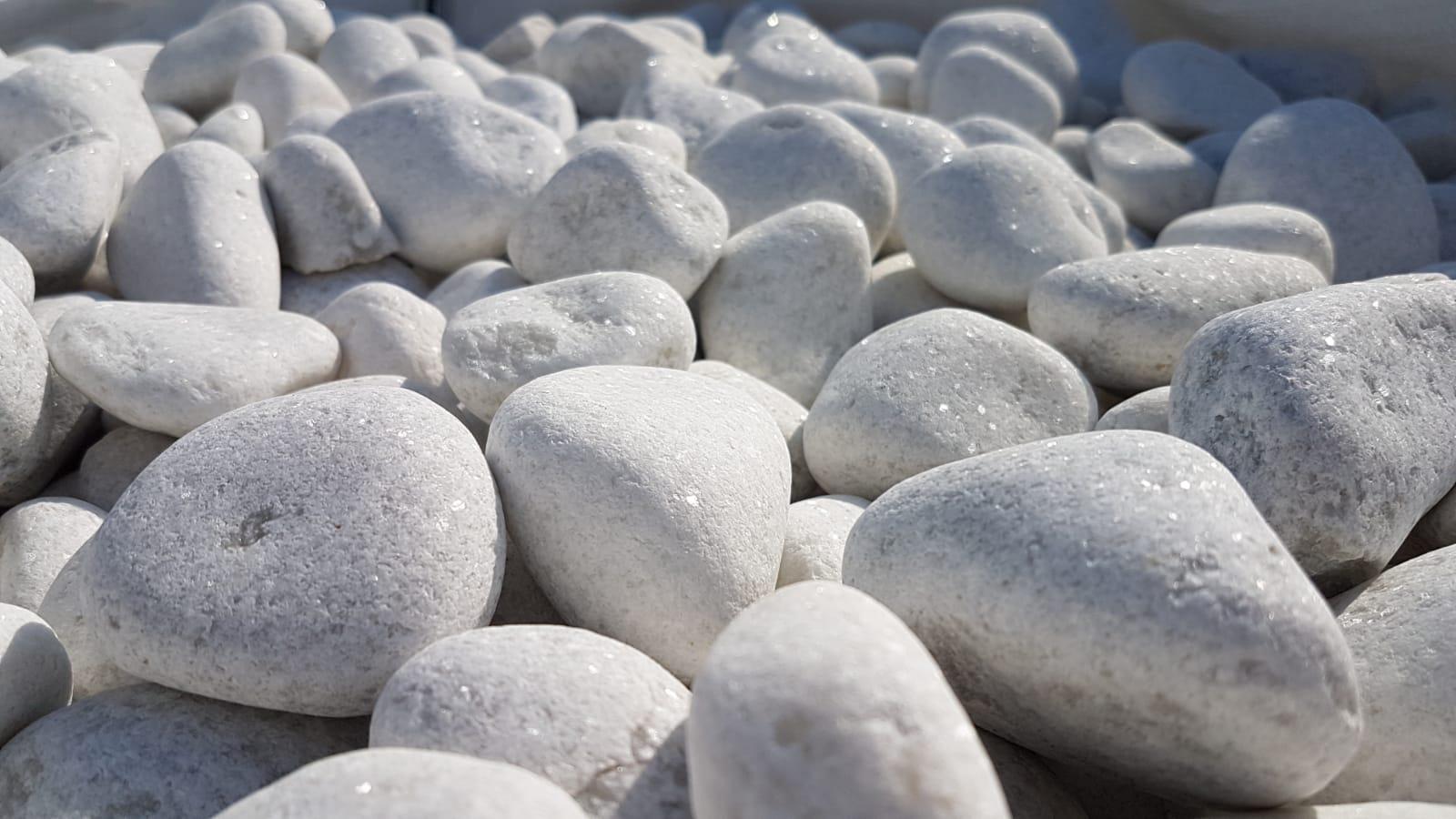 Galets blancs Petites pierres blanches de jardin Pierres