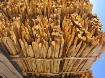 Piquets Fendus (1)
