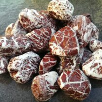 Galets Rouge Royal
